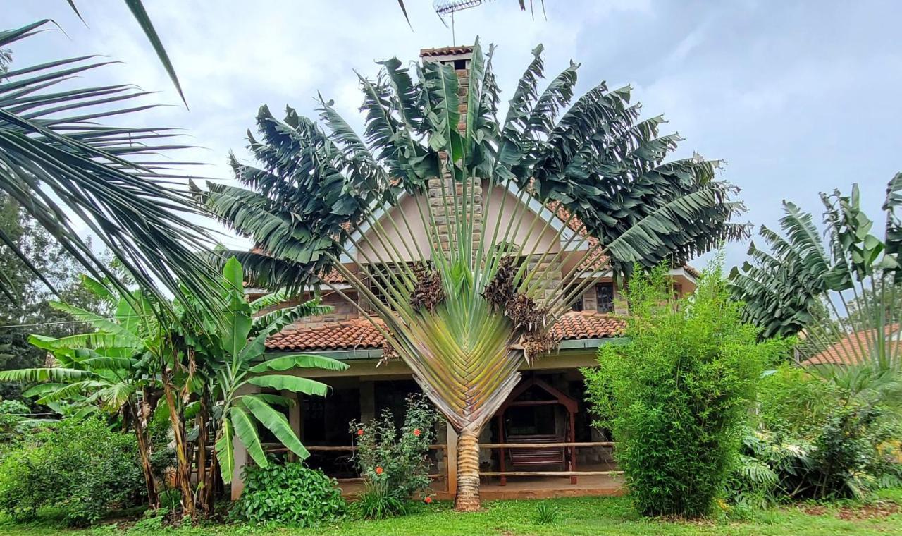 Edaala Comfort - Cottage Rooms ไนโรบี ภายนอก รูปภาพ