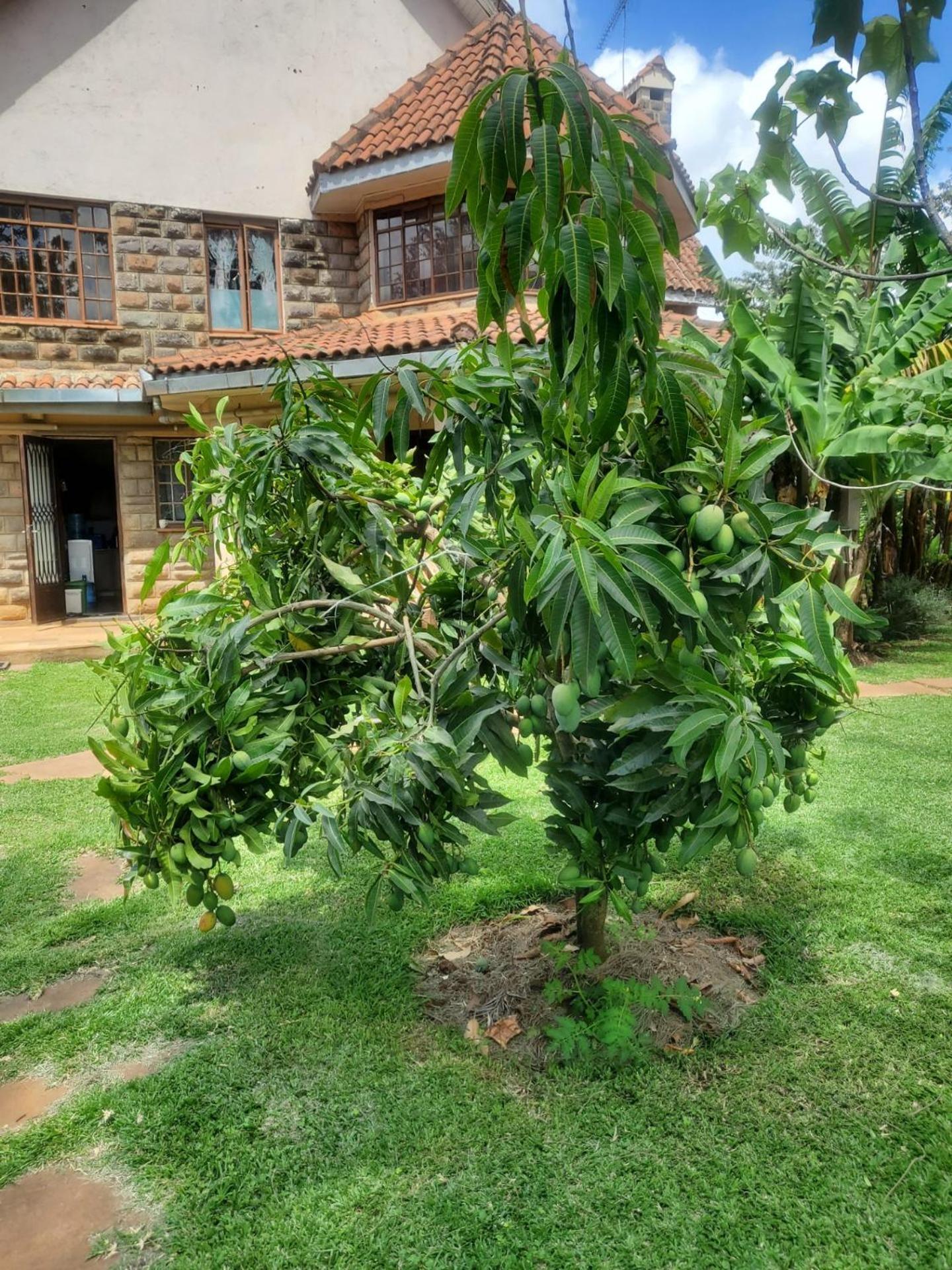 Edaala Comfort - Cottage Rooms ไนโรบี ภายนอก รูปภาพ