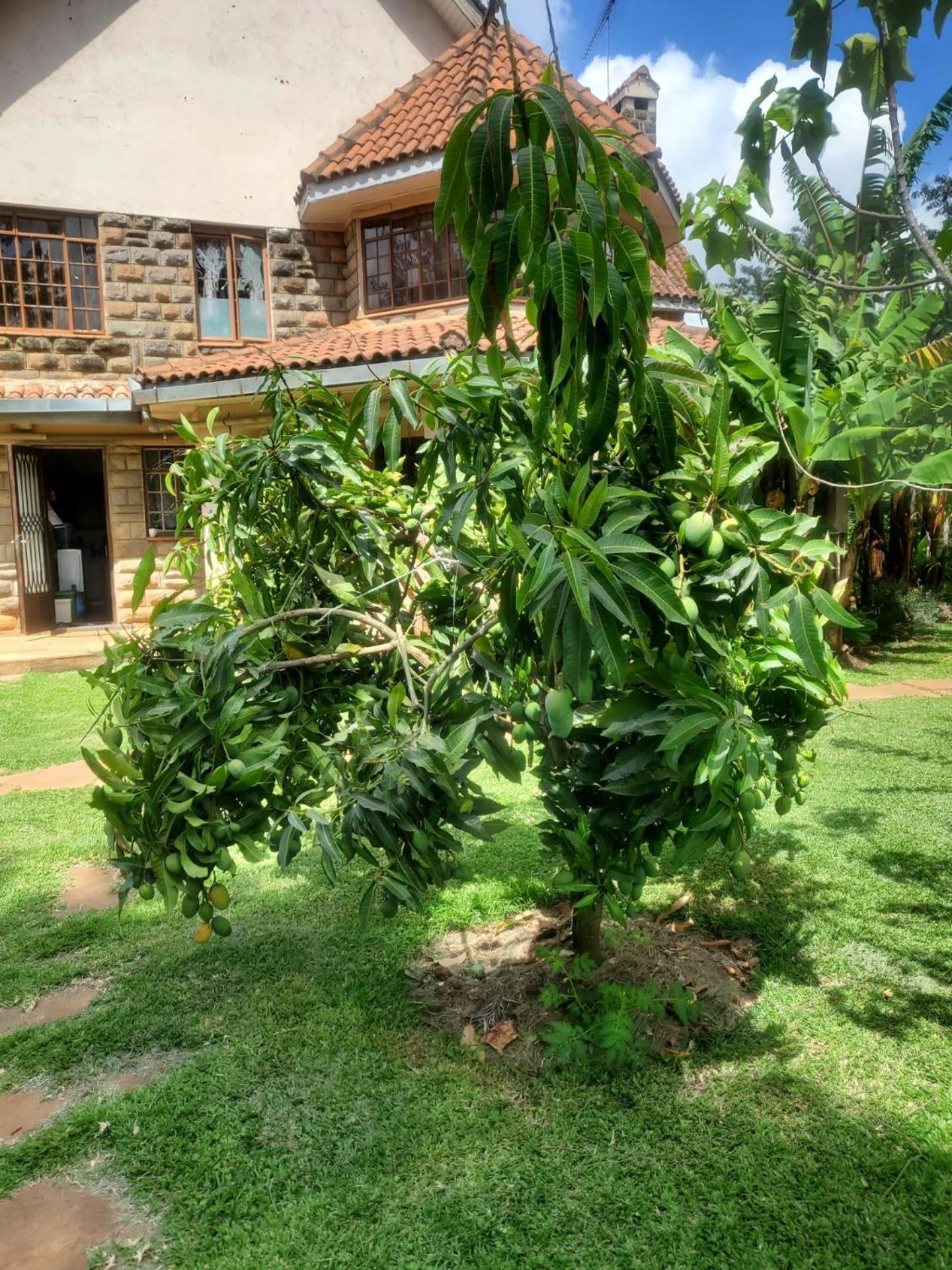 Edaala Comfort - Cottage Rooms ไนโรบี ภายนอก รูปภาพ